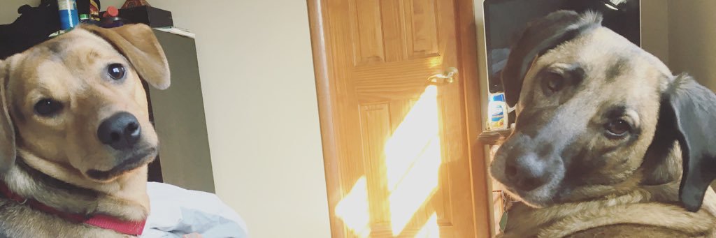 sashapants's profile banner image