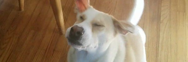 AllDelco Profile Banner