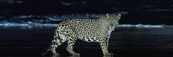 R7x9l's profile banner image