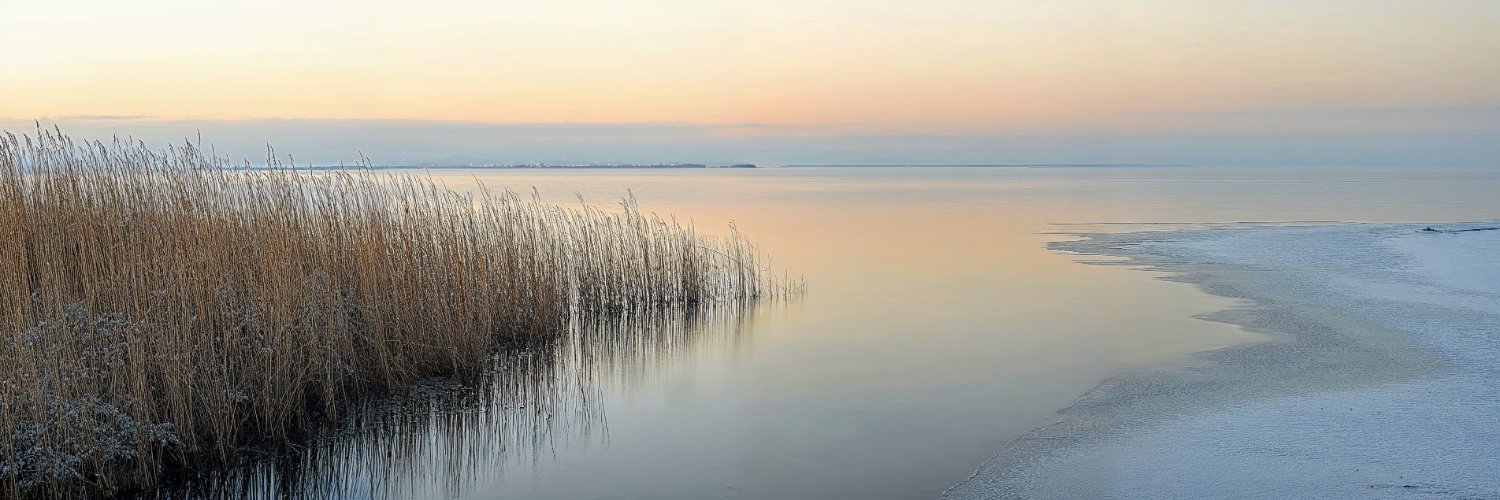 Farid Mammadov banner