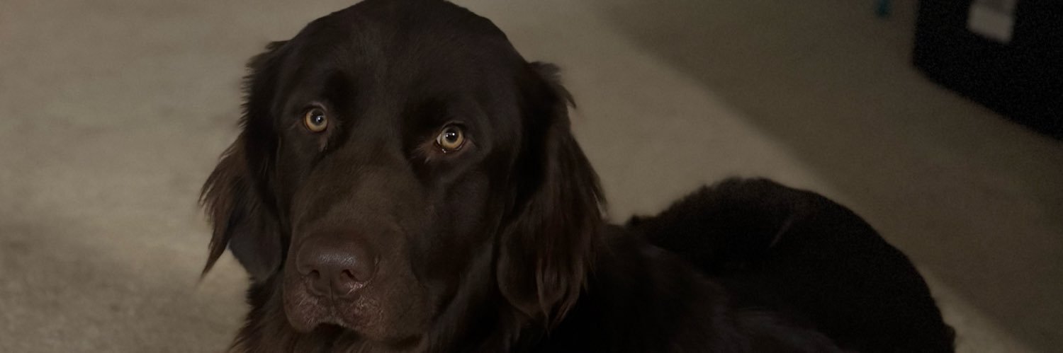 CoachDrescher's profile banner image