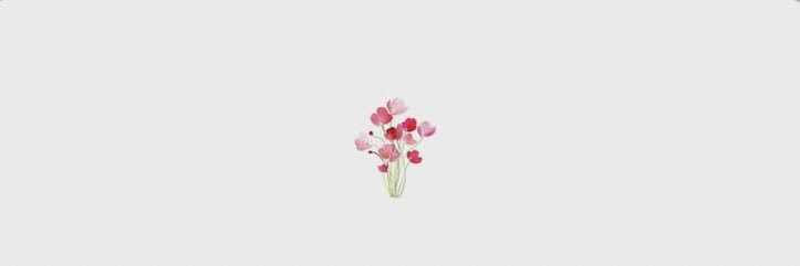 begoyla's profile banner image