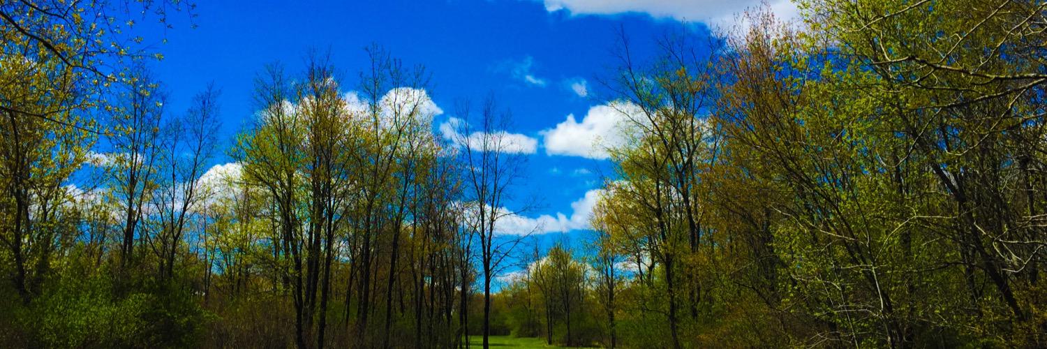 Holly Finley® banner