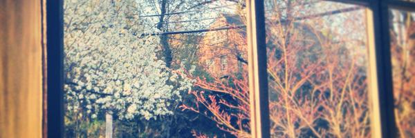 mark_cooperjr Profile Banner