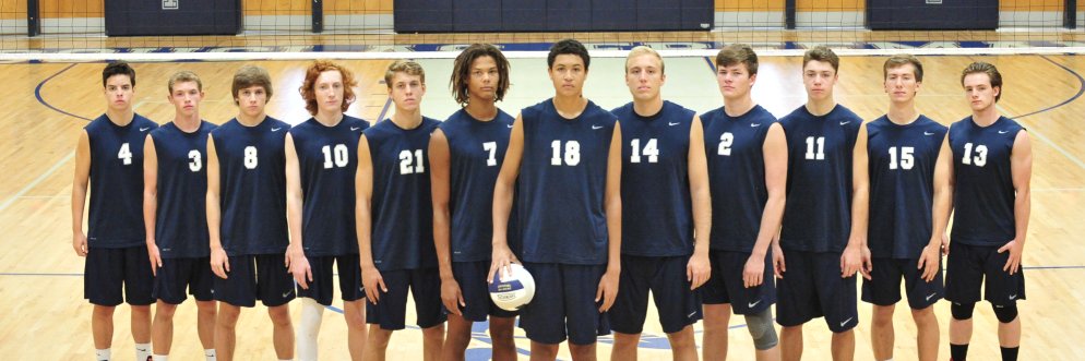 DSF_Volleyball's profile banner image