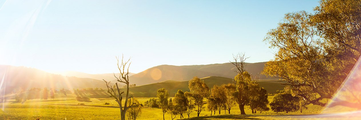 WIN News Central West banner