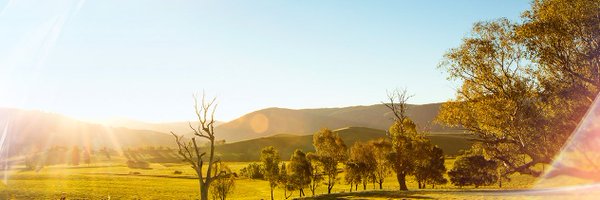 WINNEWS_CW Profile Banner