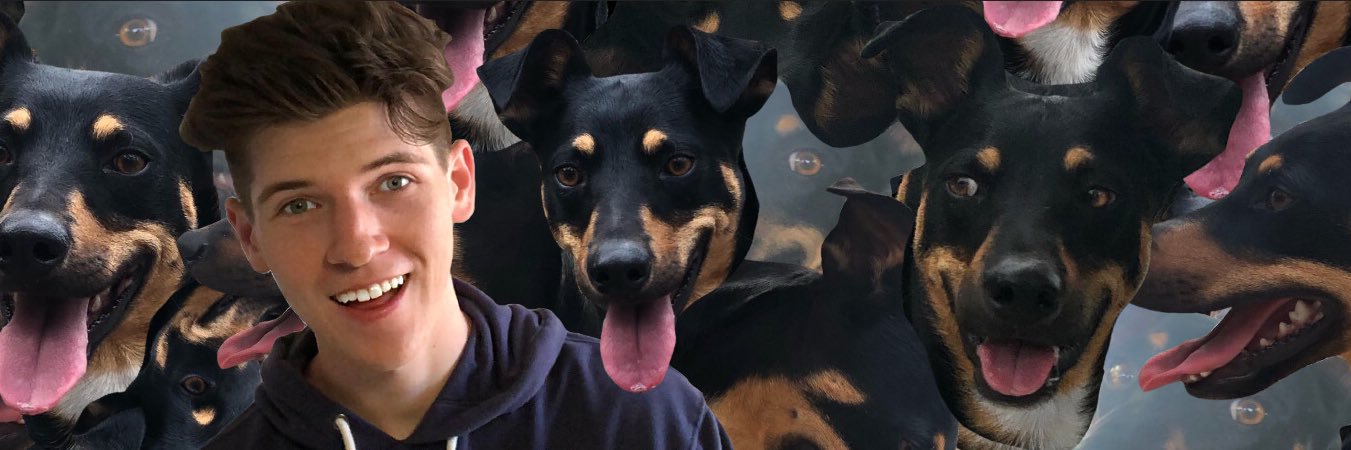 Gray 😜 banner