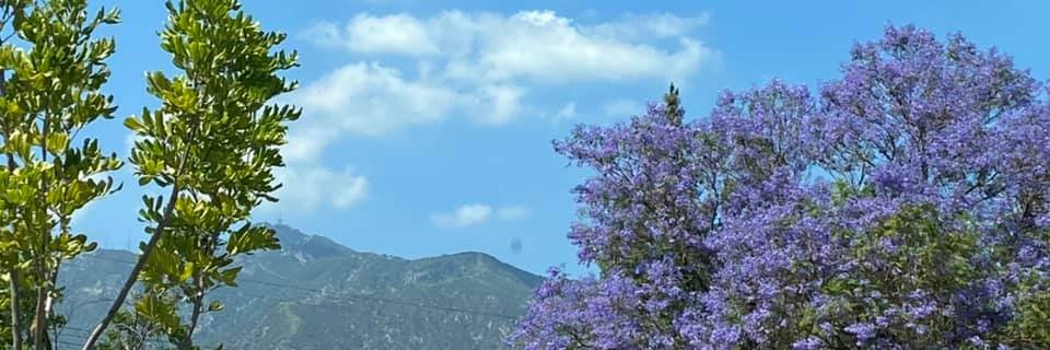 mdrabik's profile banner image