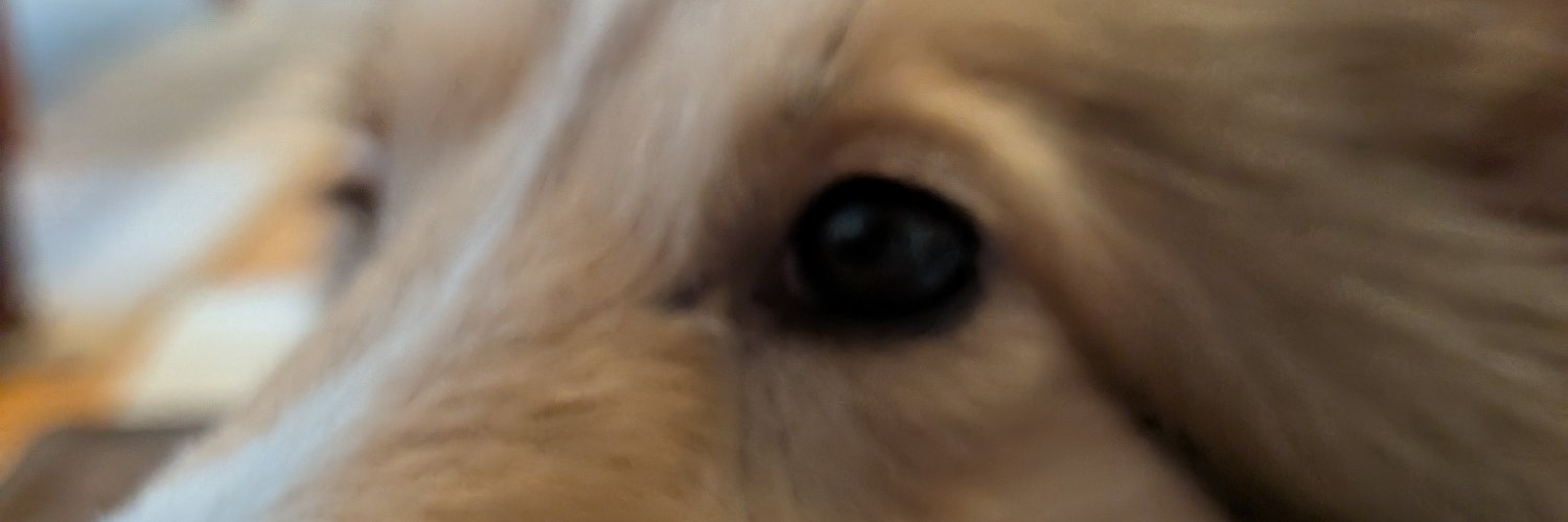 SousukeHas22415's profile banner image