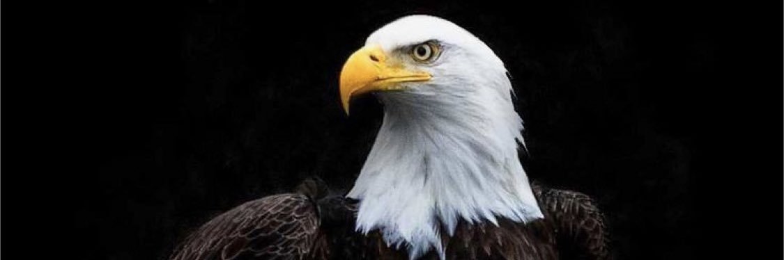 Hülya Şaşıoğlu 🦅 banner