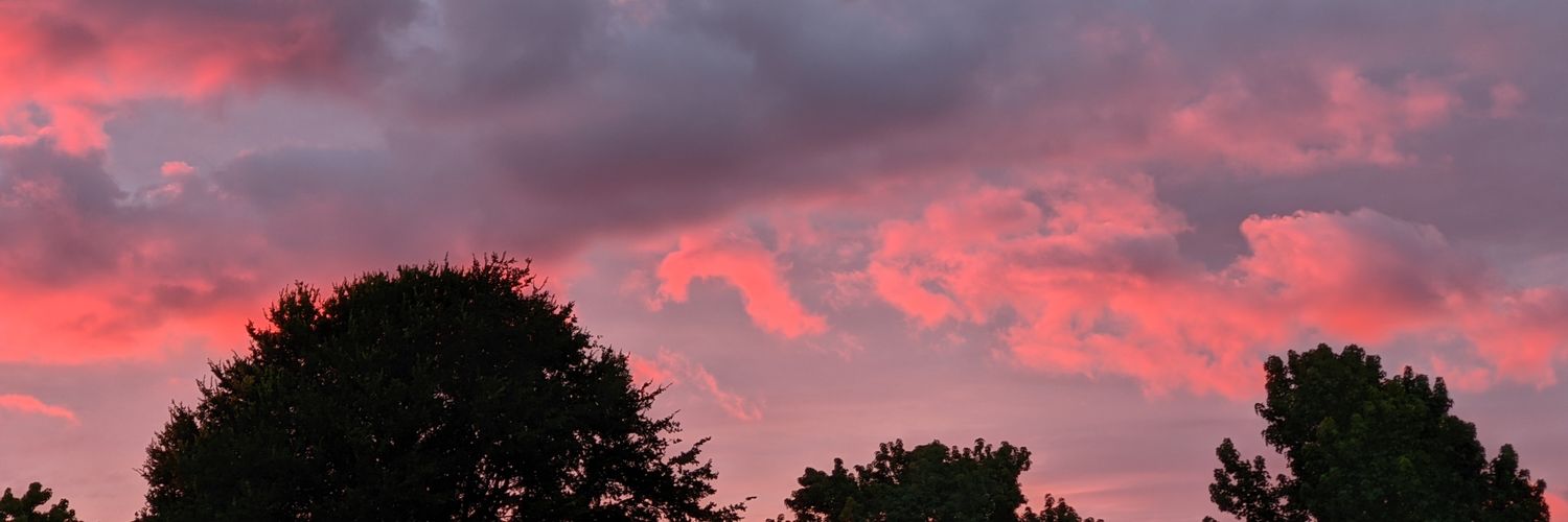 LunarAlba's profile banner image
