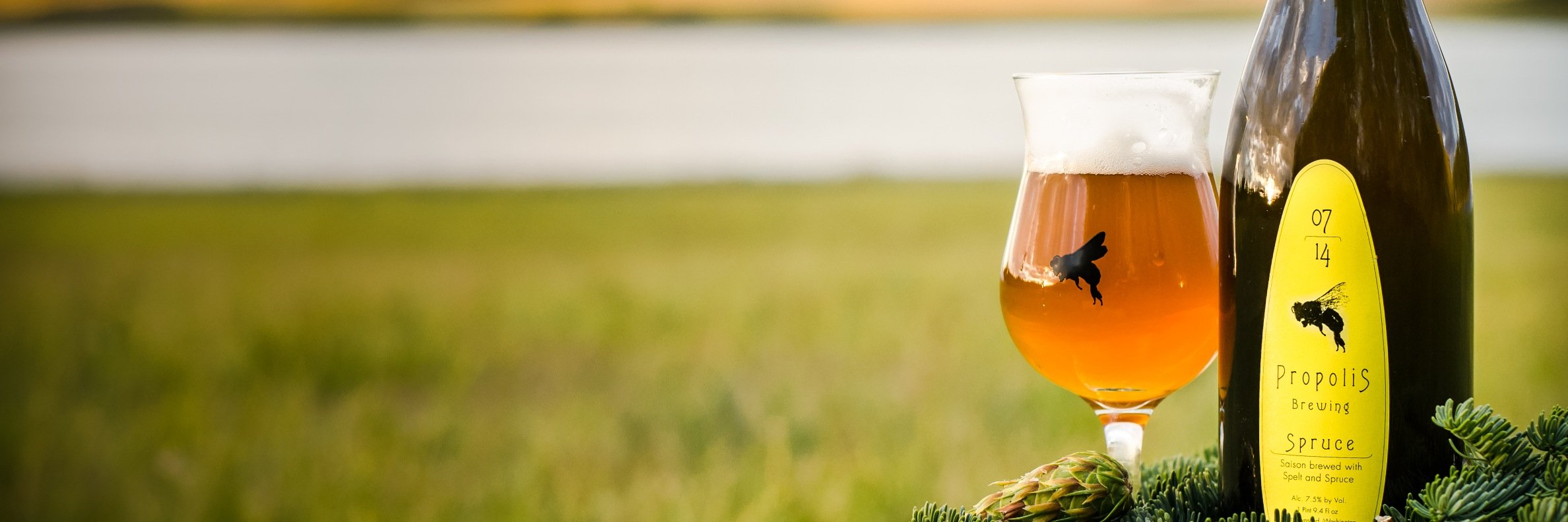 Propolis Brewing banner