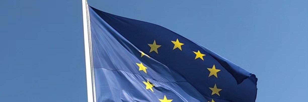 Eurofederalist's banner