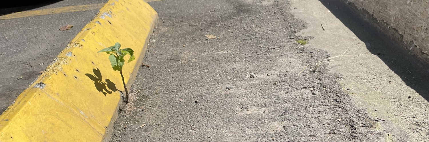 bbarros012's profile banner image
