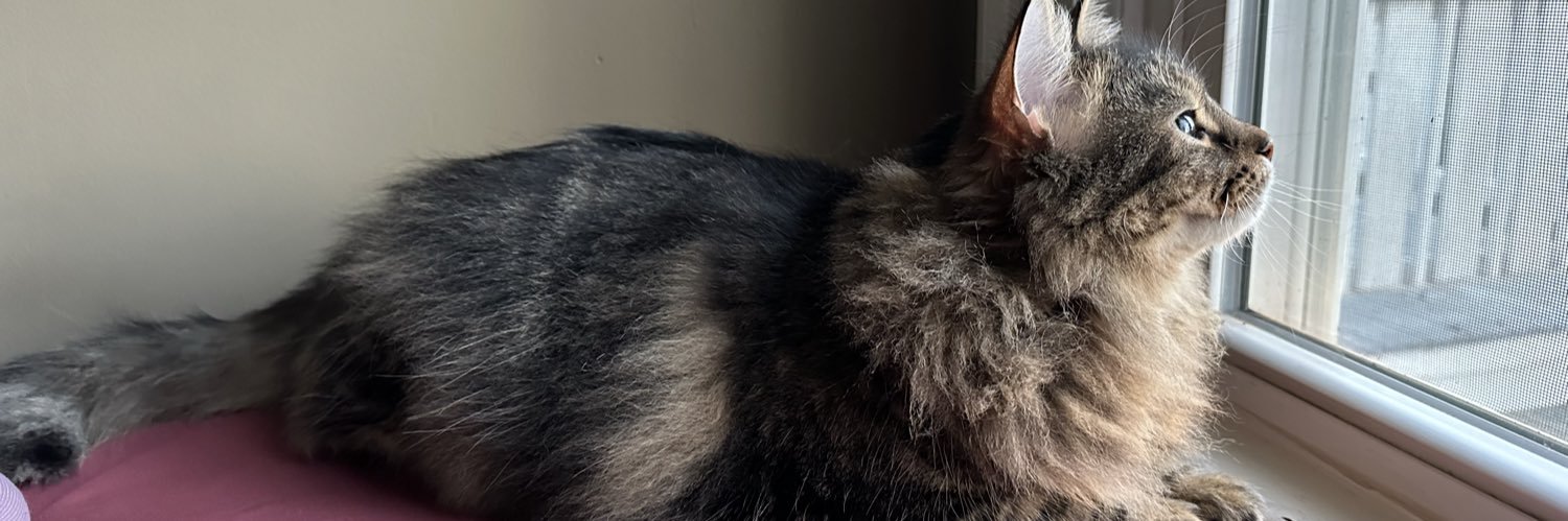 tess 😷🇵🇸🇸🇩🇨🇩 banner