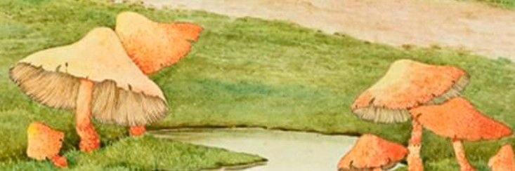 AdmireAdri's profile banner image