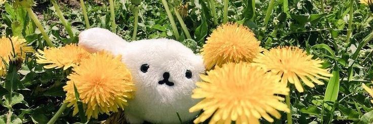 🍀🔞 kaiivy banner