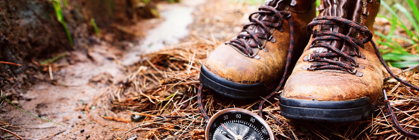 Sierra Pacific Group banner