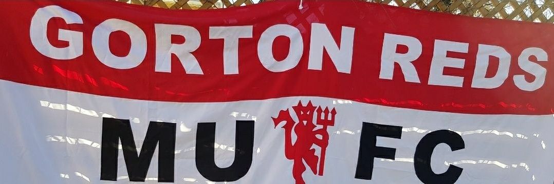 Steady's banner