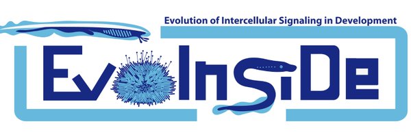 evoinside_lab Profile Banner