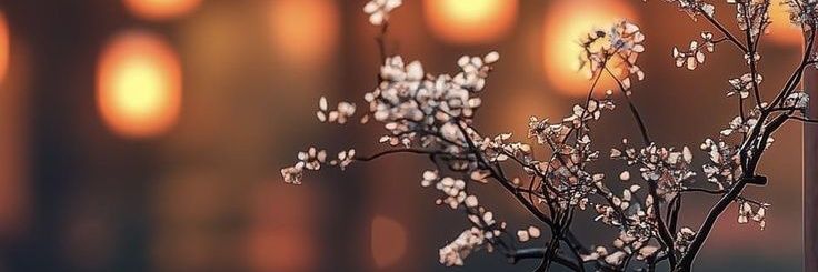 Unforgettable Fly banner