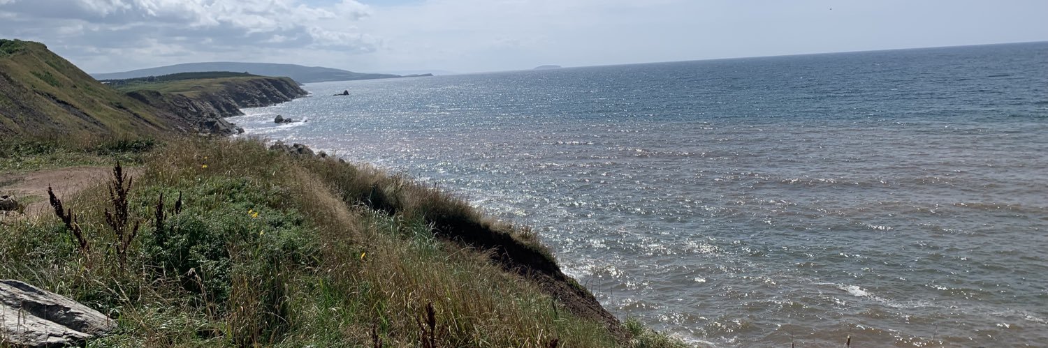 Steve Fitzsimmons banner