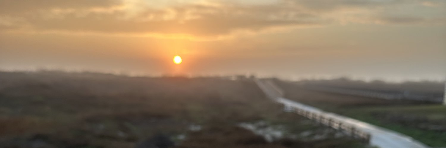 PicazoSylvia's profile banner image