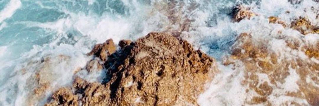 elcroda's profile banner image