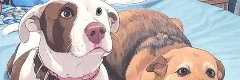 Capuleno's profile banner image
