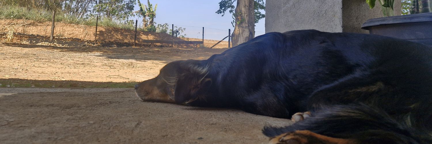 Luís Cardozo banner