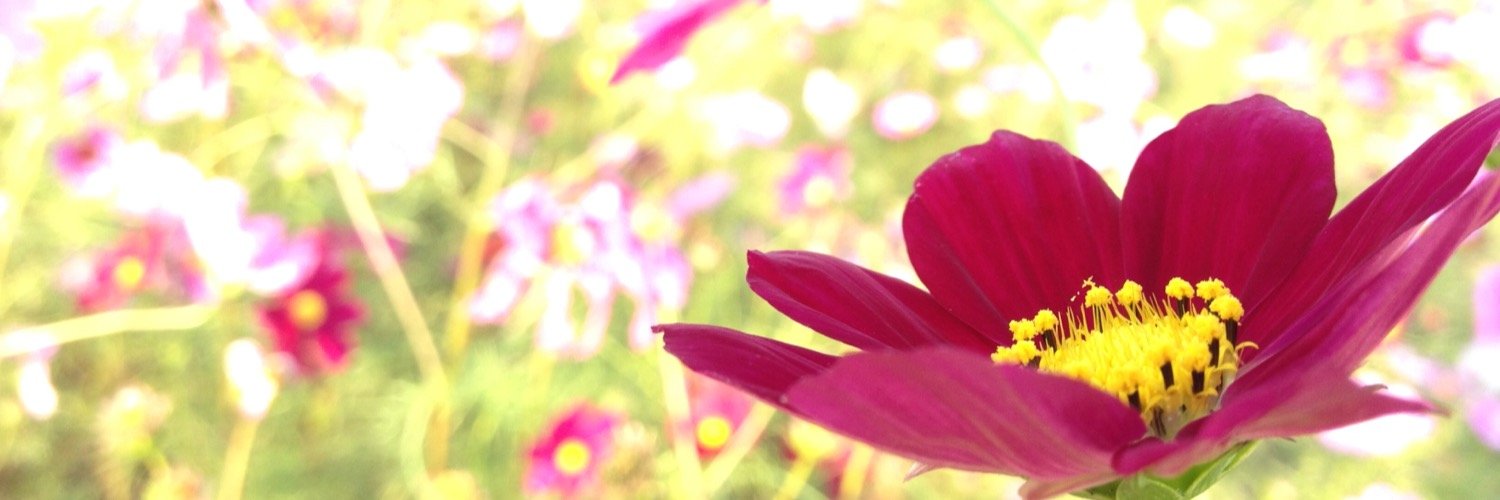 loviyuri's profile banner image