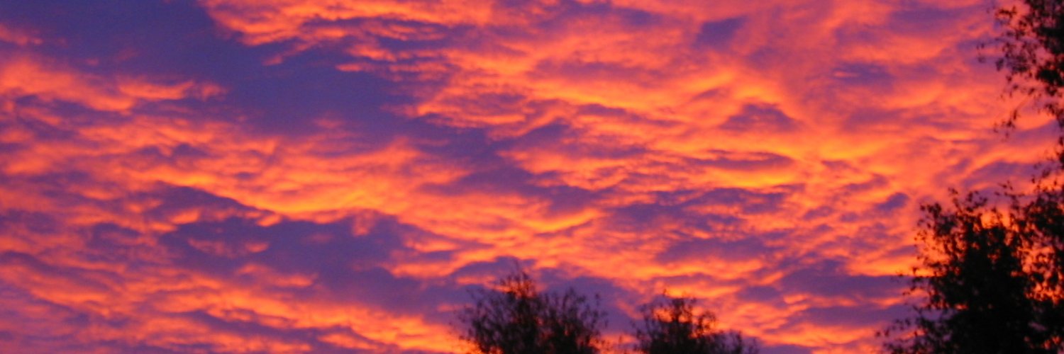 ireneMW008's profile banner image
