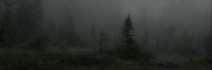 SlutryVixen's profile banner image