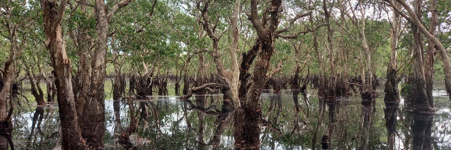 Petr Heděnec banner