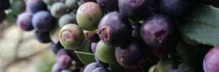 jaimealfonso181's profile banner image
