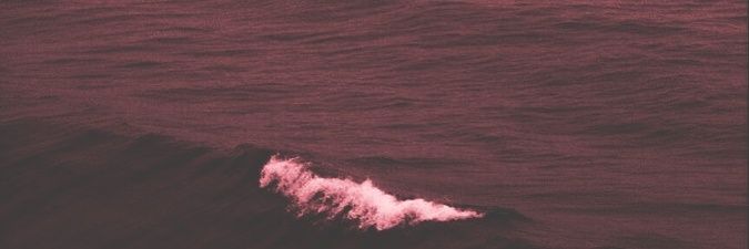 tily. banner