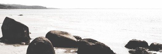tily. banner