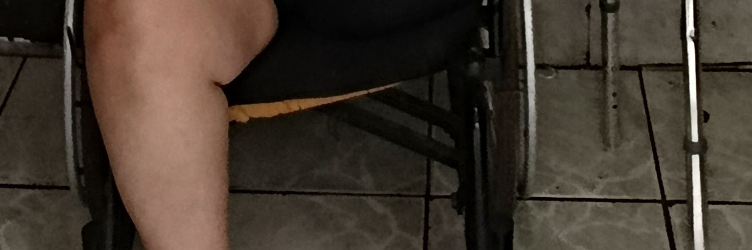 Elaine Peracci banner