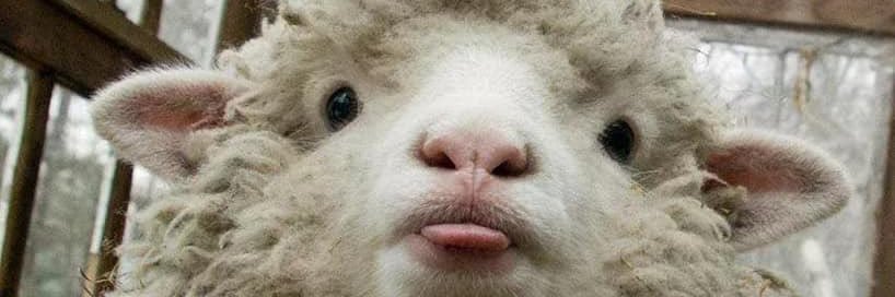 ____jjavi____'s profile banner image