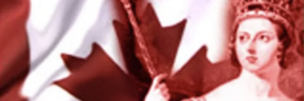 Ut incepit fidelis sic permanet banner