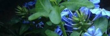 StrodeKb's profile banner image