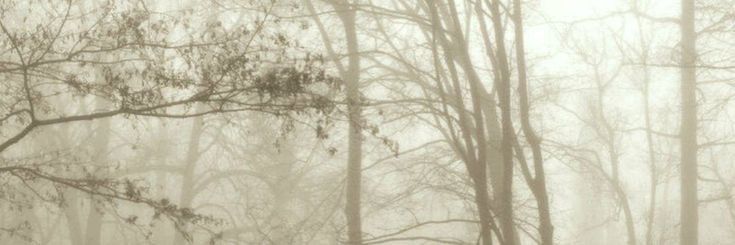 killsemss's profile banner image