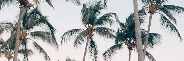 zannaaaaa's profile banner image