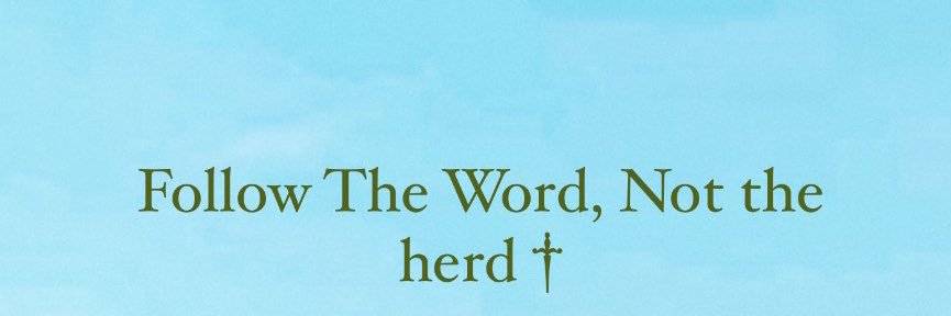 idkjcurious's profile banner image