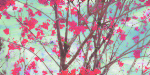 ItsARusherThing's profile banner image