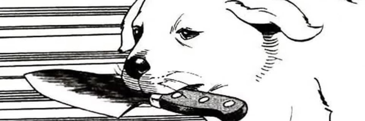 nouhguy7's profile banner image