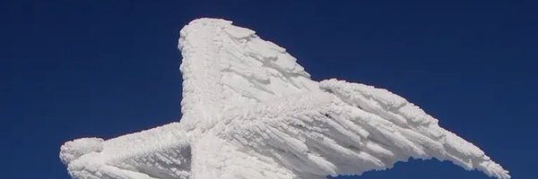 dauwitdashifts Profile Banner