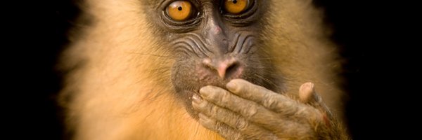 johndtrybus Profile Banner