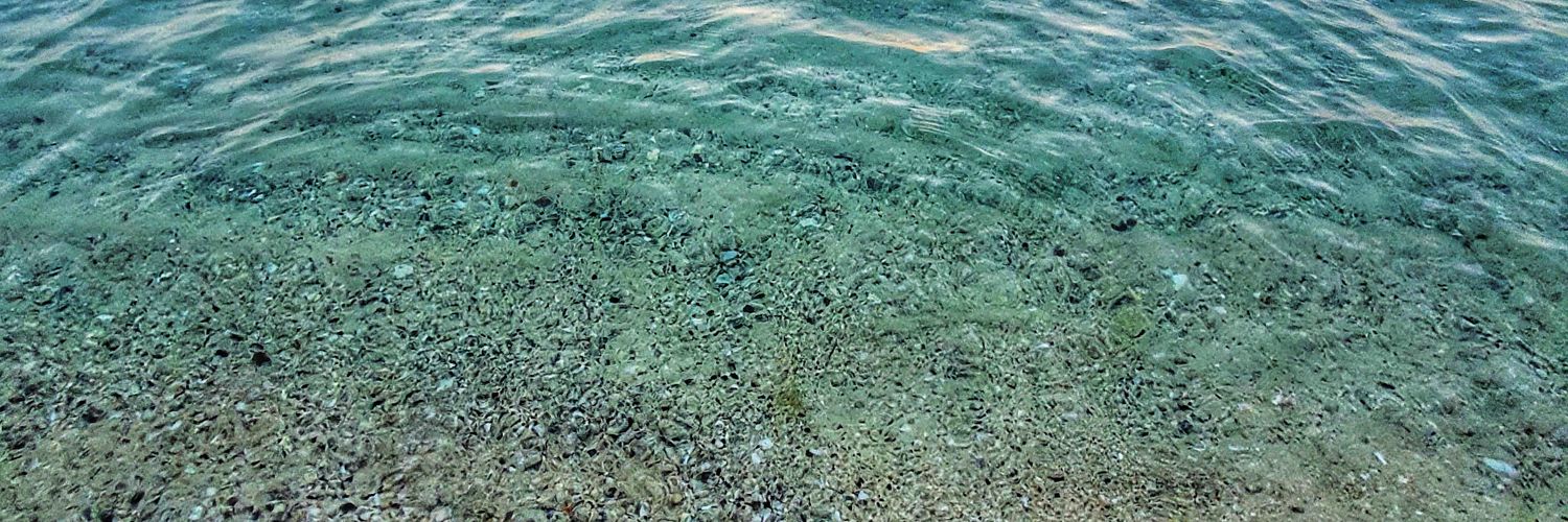 BlueOcean_85's profile banner image
